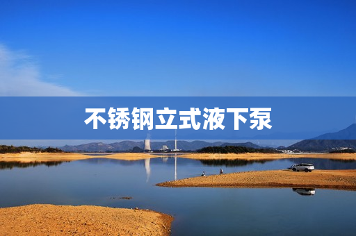 不銹鋼立式液下泵