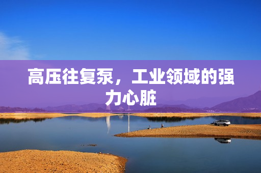 高壓往復(fù)泵，工業(yè)領(lǐng)域的強力心臟