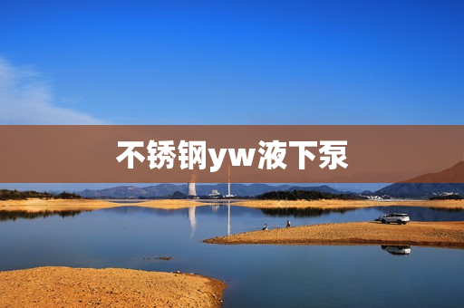 不銹鋼yw液下泵