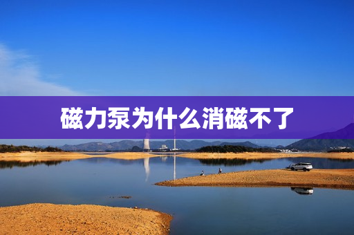 磁力泵為什么消磁不了