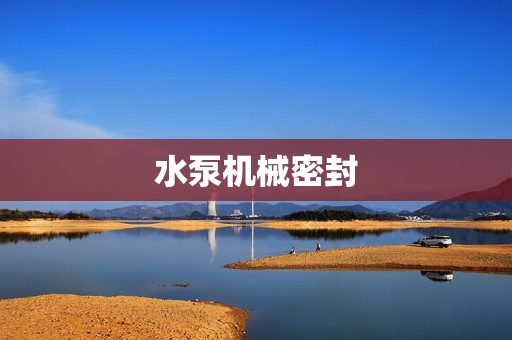 水泵機(jī)械密封
