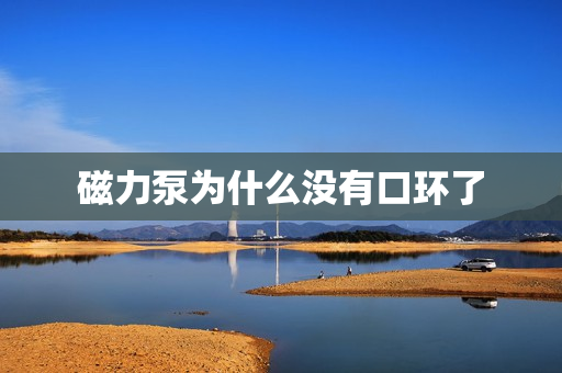 磁力泵為什么沒有口環(huán)了