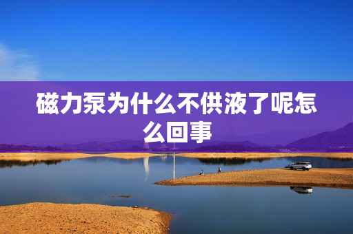 磁力泵為什么不供液了呢怎么回事