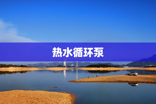 熱水循環(huán)泵