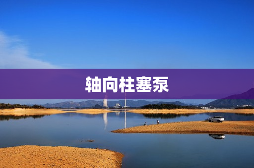 軸向柱塞泵 軸向柱塞泵