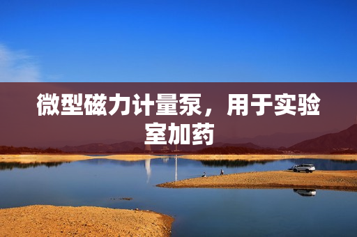 微型磁力計量泵，用于實驗室加藥