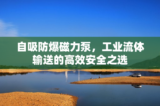 自吸防爆磁力泵，工業(yè)流體輸送的高效安全之選