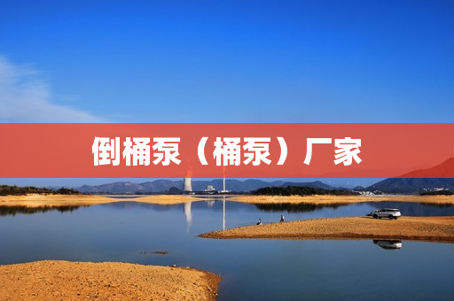 倒桶泵（桶泵）廠家