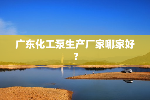 廣東化工泵生產(chǎn)廠家哪家好？