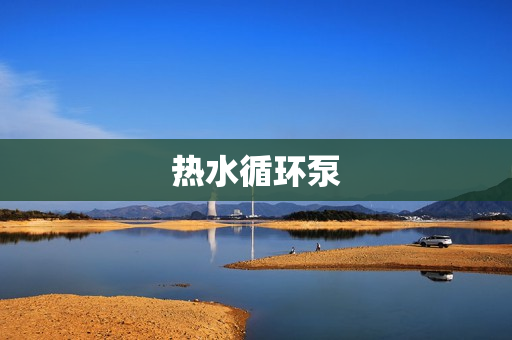 熱水循環(huán)泵 熱水循環(huán)泵