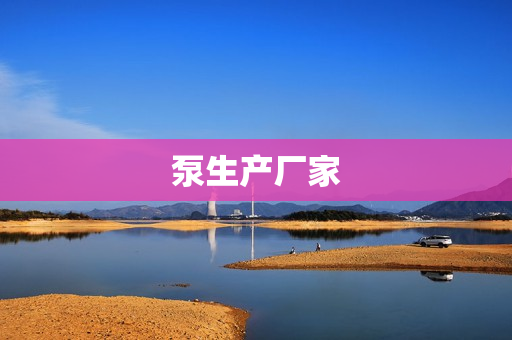 泵生產(chǎn)廠家 泵生產(chǎn)廠家