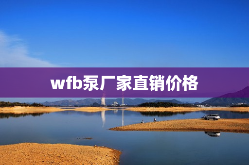 wfb泵廠家直銷價格