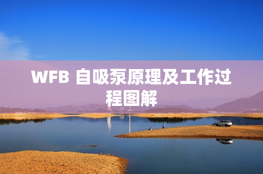 WFB 自吸泵原理及工作過(guò)程圖解