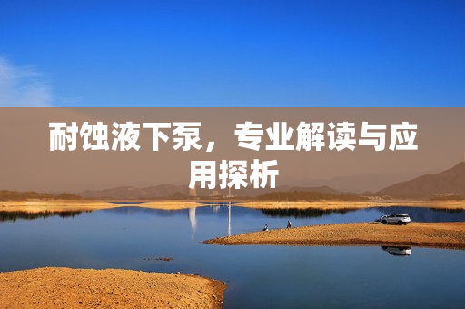 耐蝕液下泵，專業(yè)解讀與應(yīng)用探析