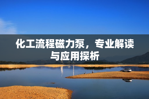 化工流程磁力泵，專業(yè)解讀與應用探析