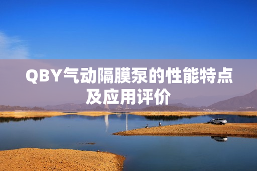 QBY氣動(dòng)隔膜泵的性能特點(diǎn)及應(yīng)用評(píng)價(jià)