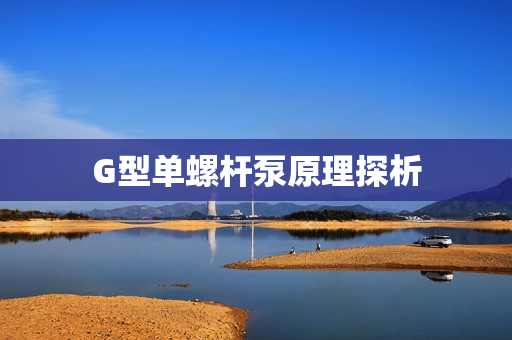 G型單螺桿泵原理探析