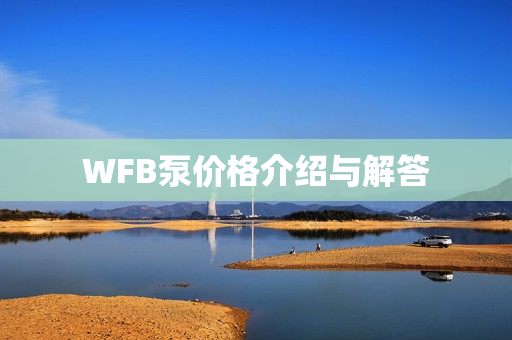 WFB泵價(jià)格介紹與解答