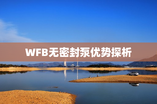 WFB無(wú)密封泵優(yōu)勢(shì)探析