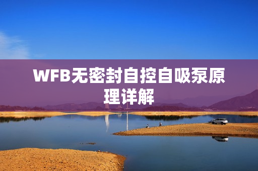 WFB無(wú)密封自控自吸泵原理詳解