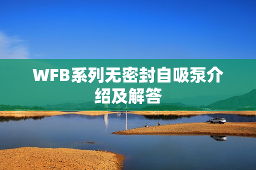 WFB系列無(wú)密封自吸泵介紹及解答