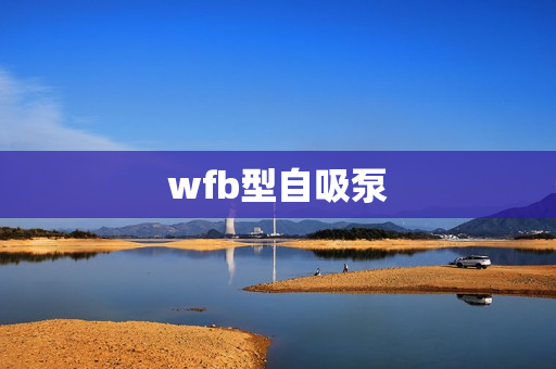 wfb型自吸泵
