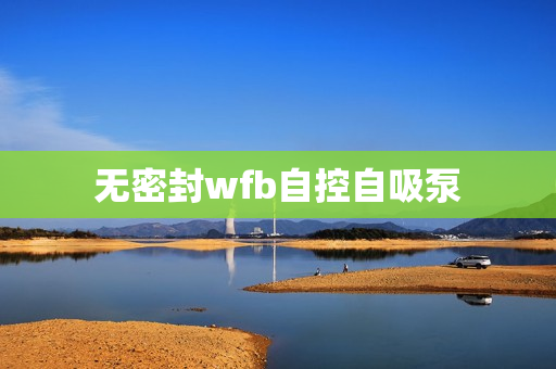 無密封wfb自控自吸泵