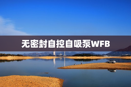 無(wú)密封自控自吸泵WFB