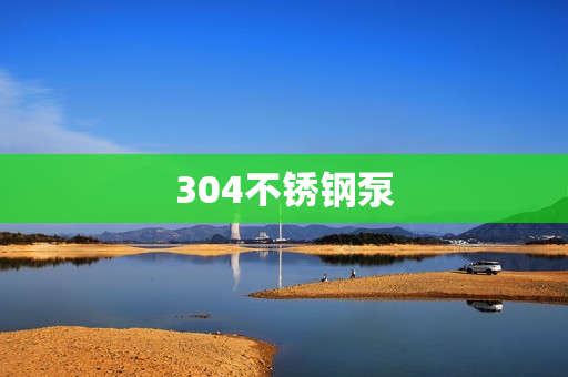304不銹鋼泵