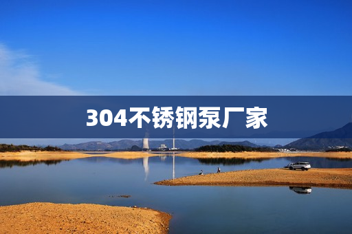 304不銹鋼泵廠家