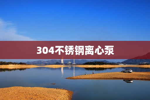 304不銹鋼離心泵