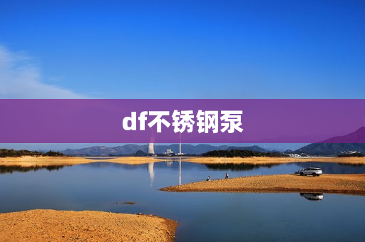 df不銹鋼泵