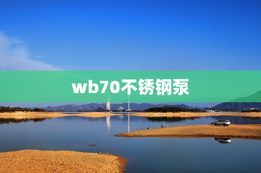 wb70不銹鋼泵