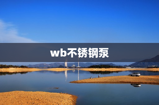 wb不銹鋼泵