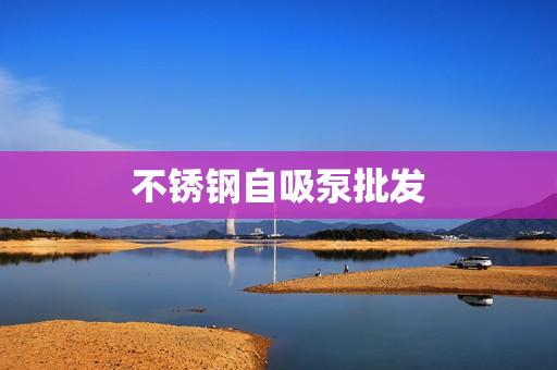 不銹鋼自吸泵批發(fā)